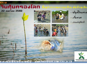 ฟื้นฟูป่าชายเลน วันคุ้มครองโลก